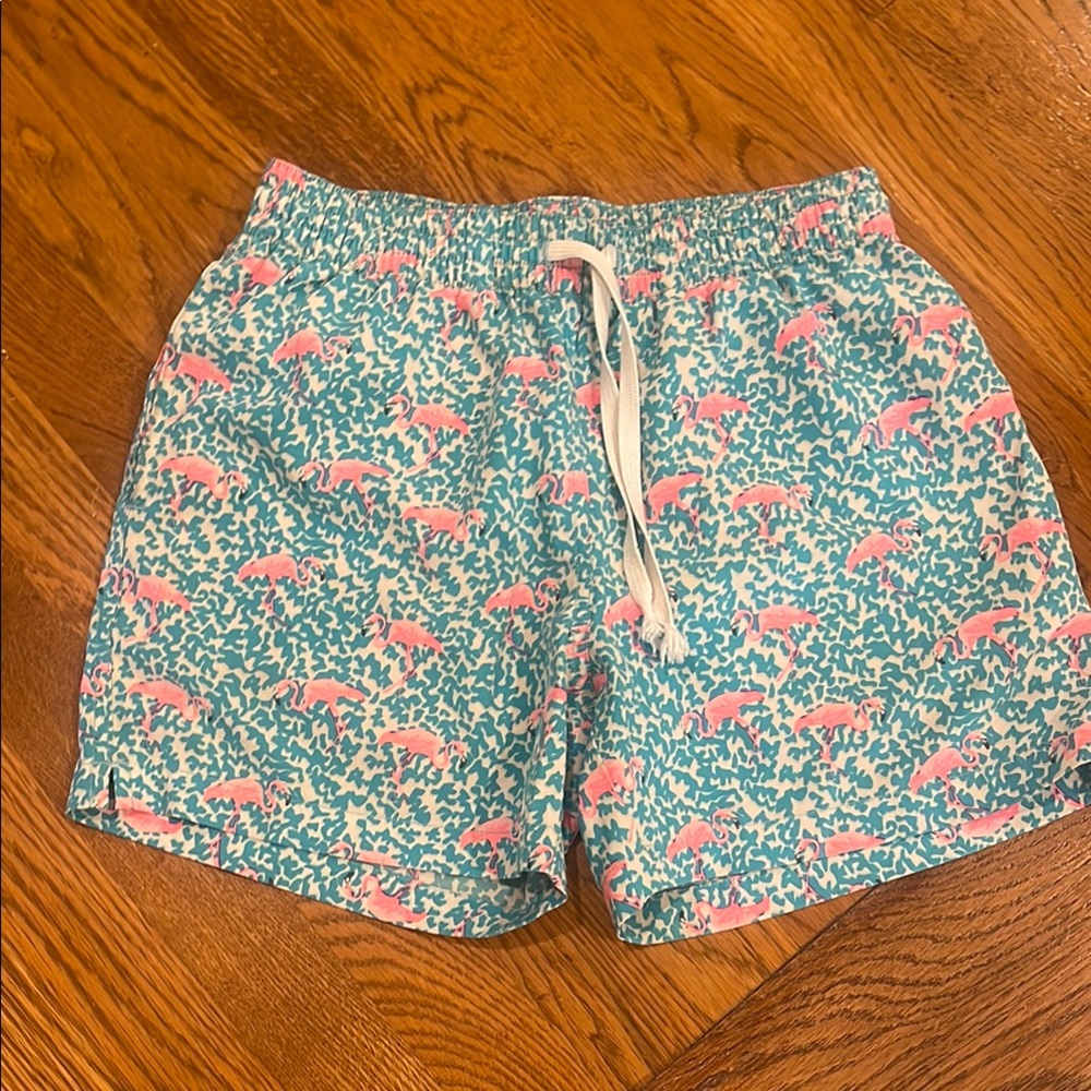 Chubbies Vibrant Pink and Blue Shorts